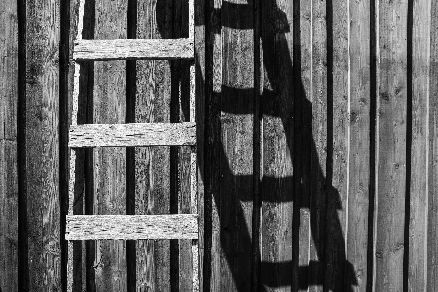 wooden-ladder