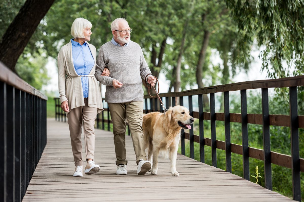 Senior couple walking with their dog.